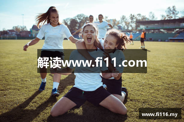 解读www.fi11.com